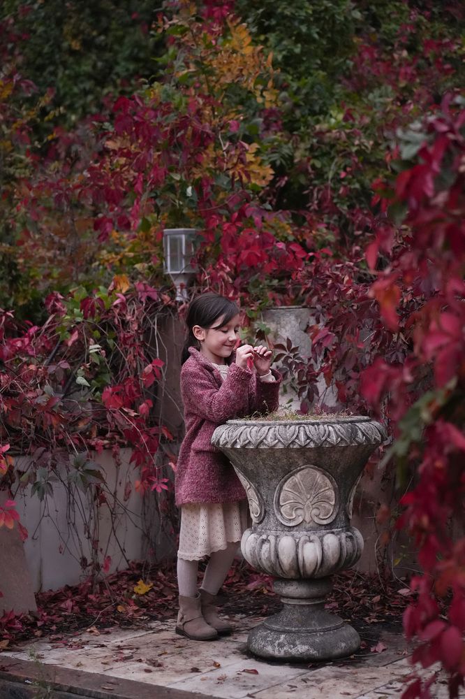 Фотография автора Светлана Зимина