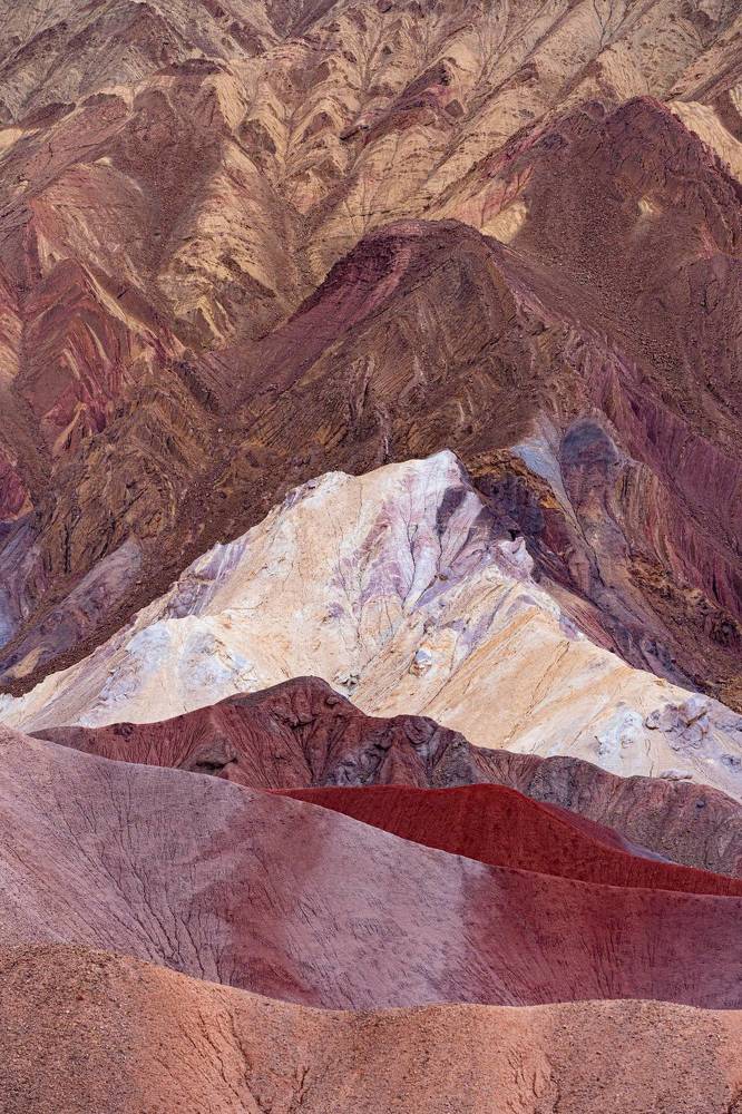 Фотография автора Светлана Зимина