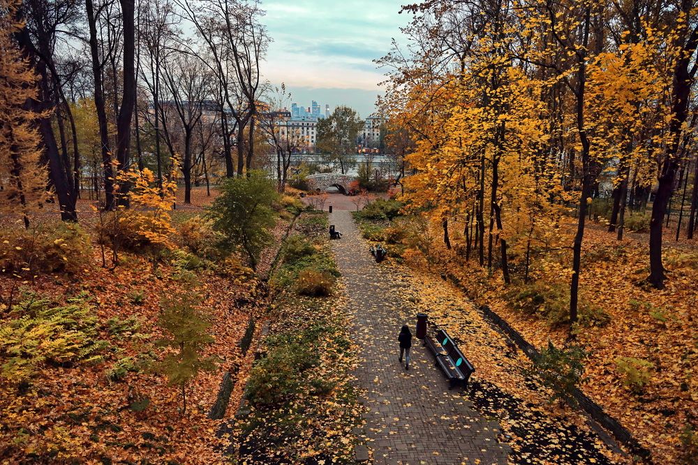 Москва, в Парке Горького.