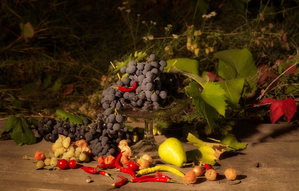 Фотография автора Медведев Сергей