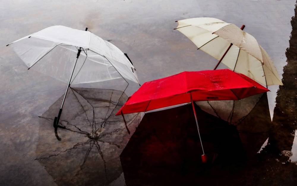 Photograph by Gonzalo Jorge Eduardo MARÓN