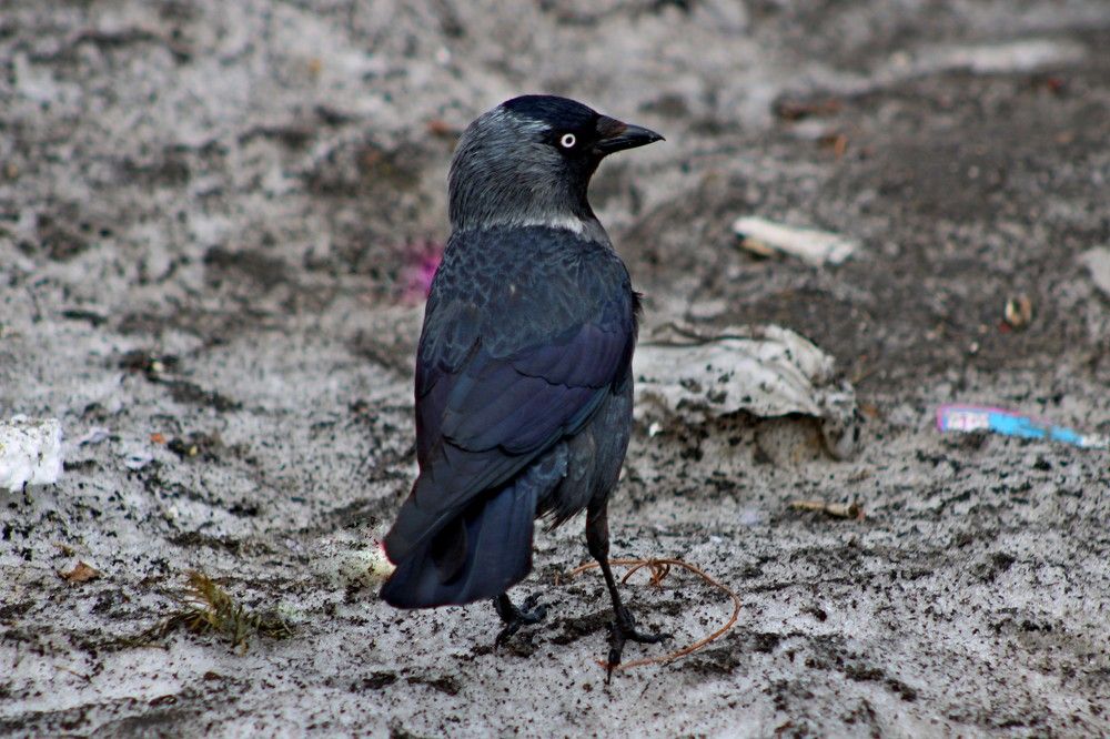 Photograph by Дмитрий Симагин