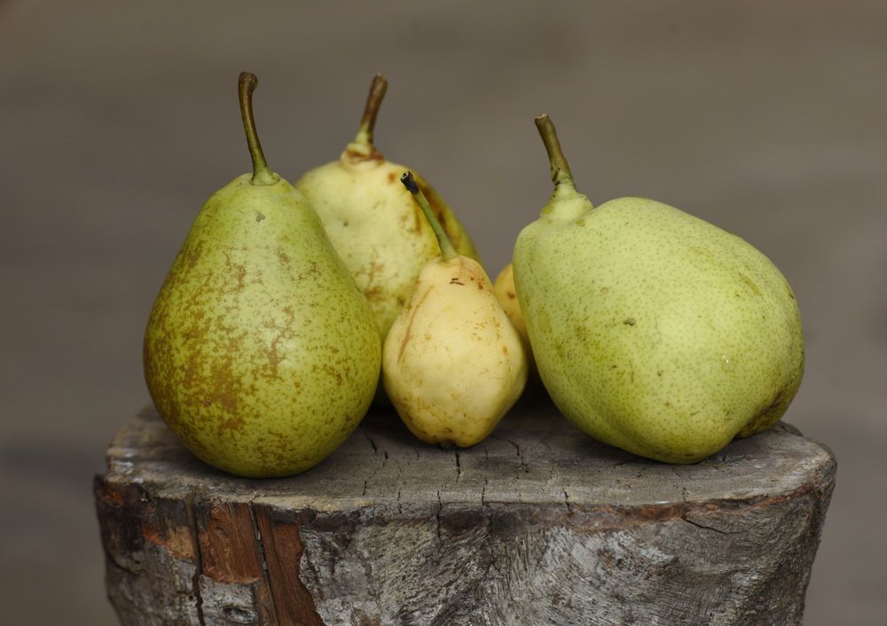 Фотография автора Медведев Сергей