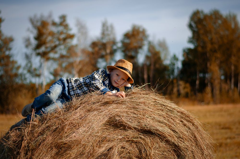 Фотография автора Светлана Скотникова