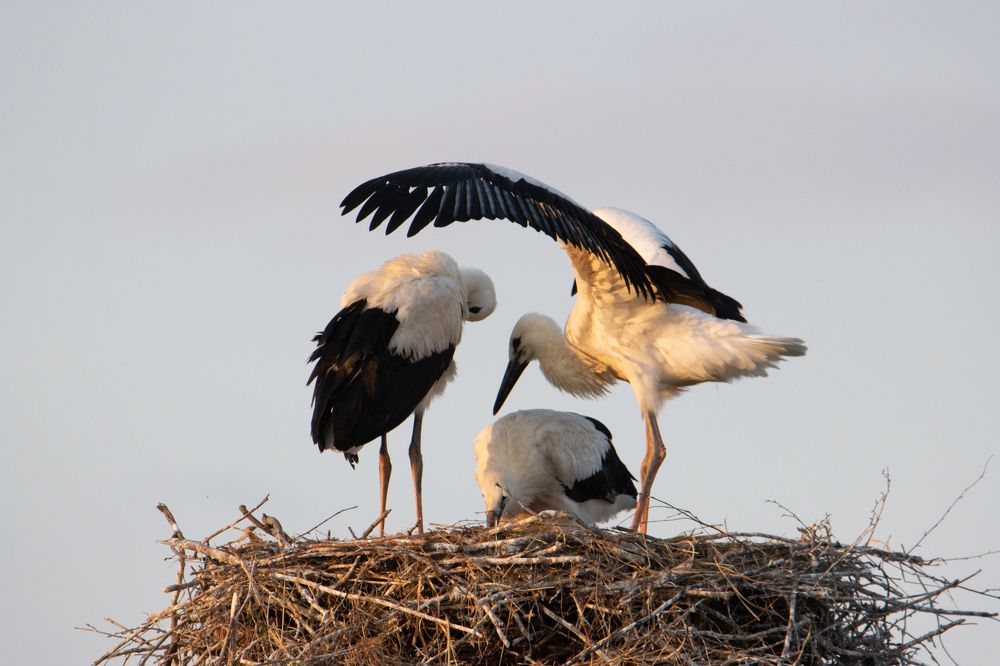 Photograph by Денис Королёв