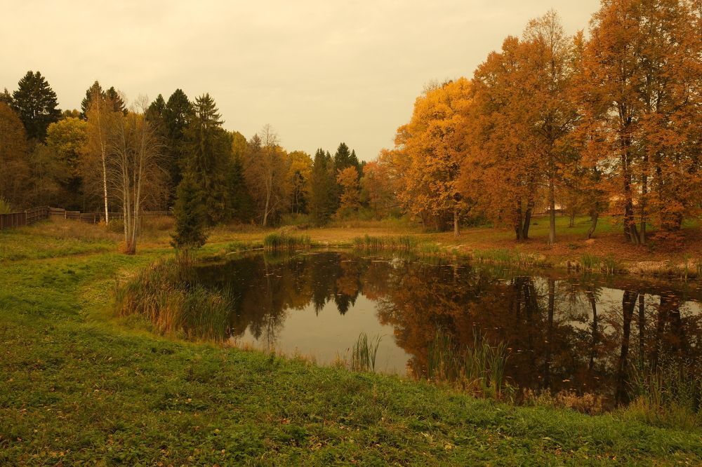 Фотография автора Наталья Липовская