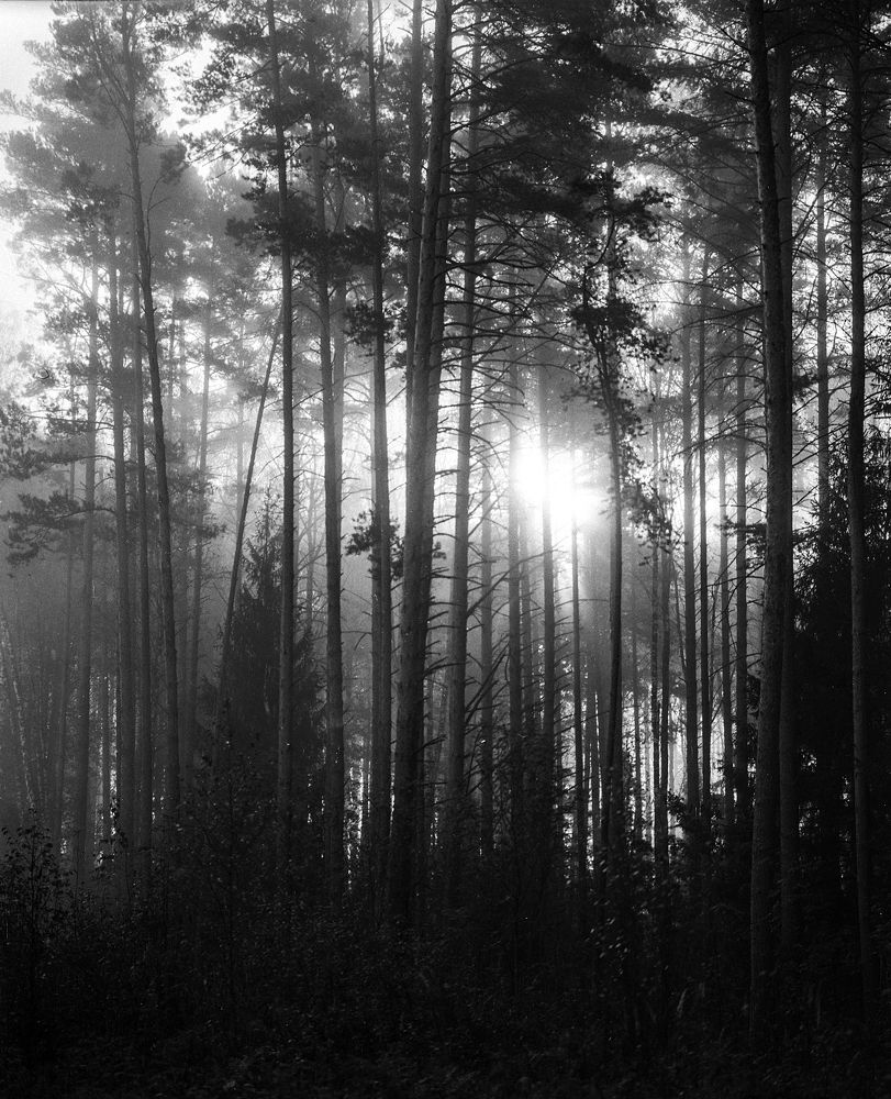 Photograph by Денис Королёв