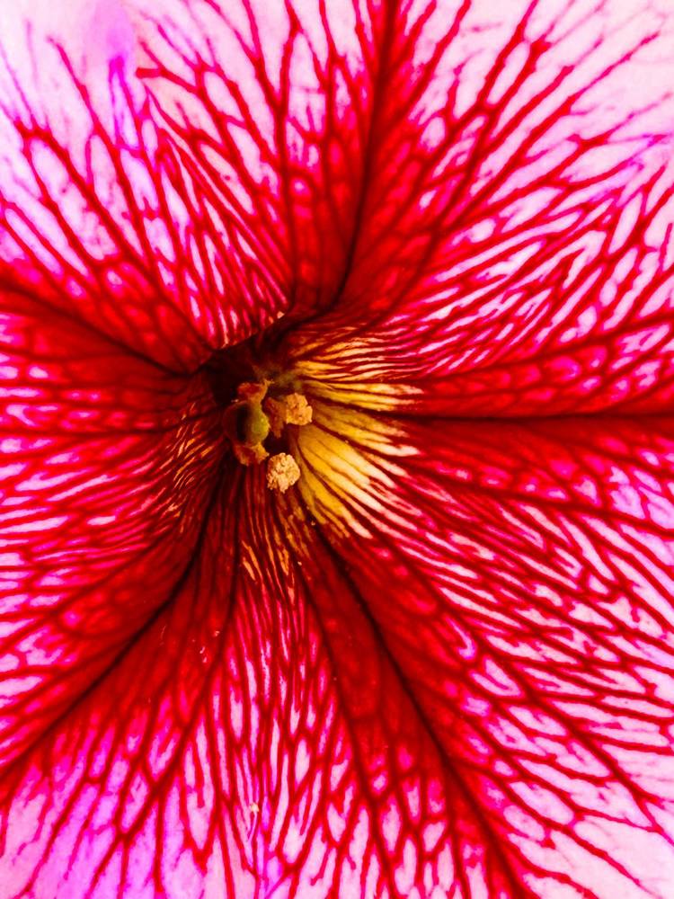 Photograph by Елена Маркова