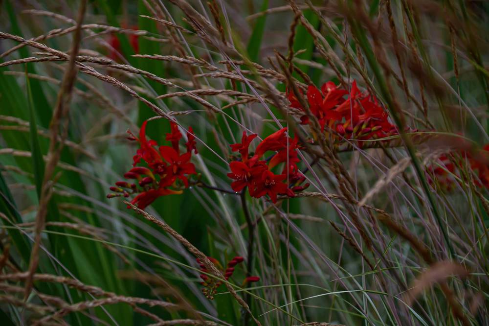 Photograph by Elvira