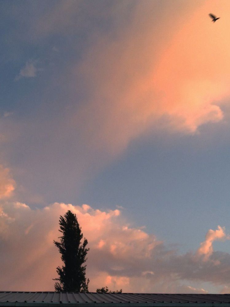 Photograph by ARMY