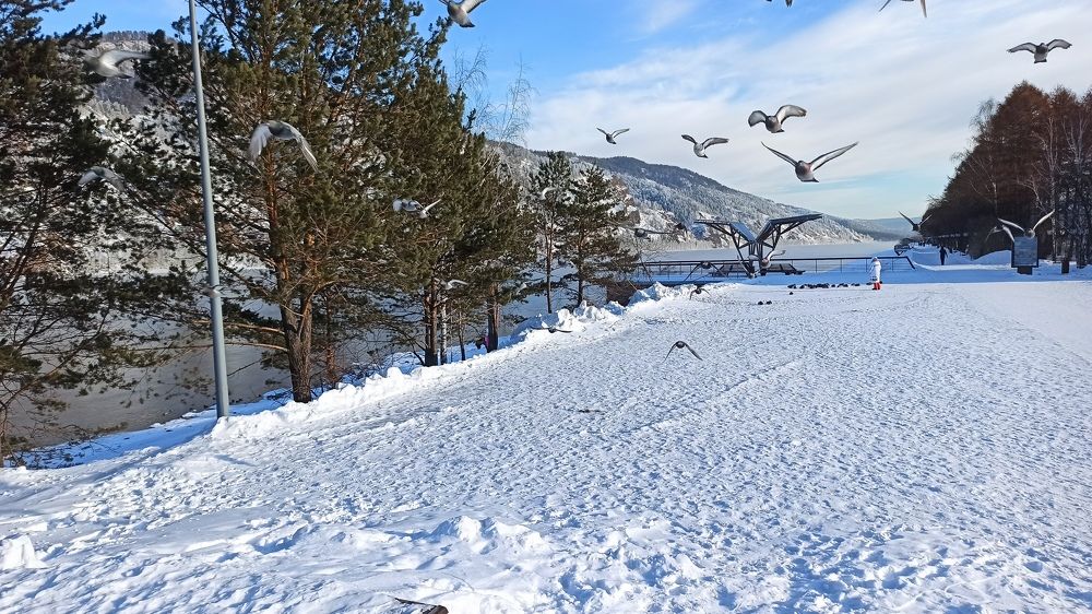 Photograph by Сергей Копылов