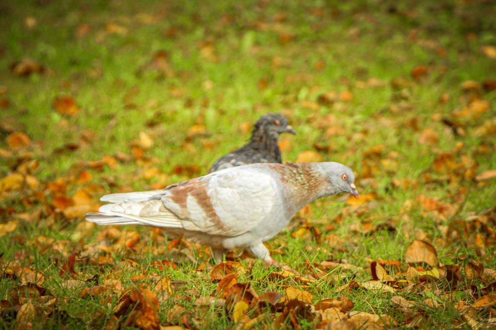 Photograph by Владимир Сушкин