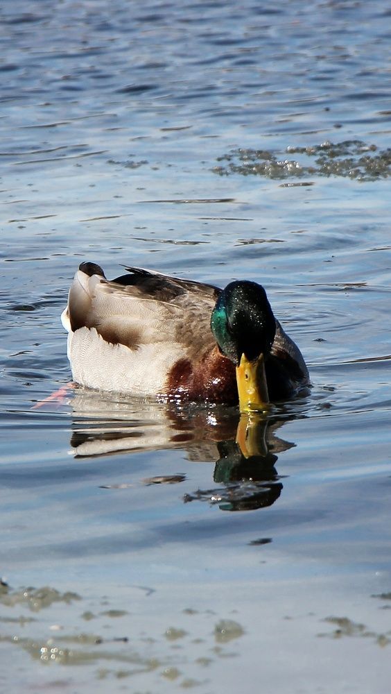 Photograph by Владимир Сушкин