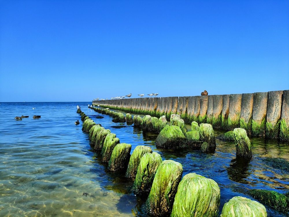 Фотография автора Илья