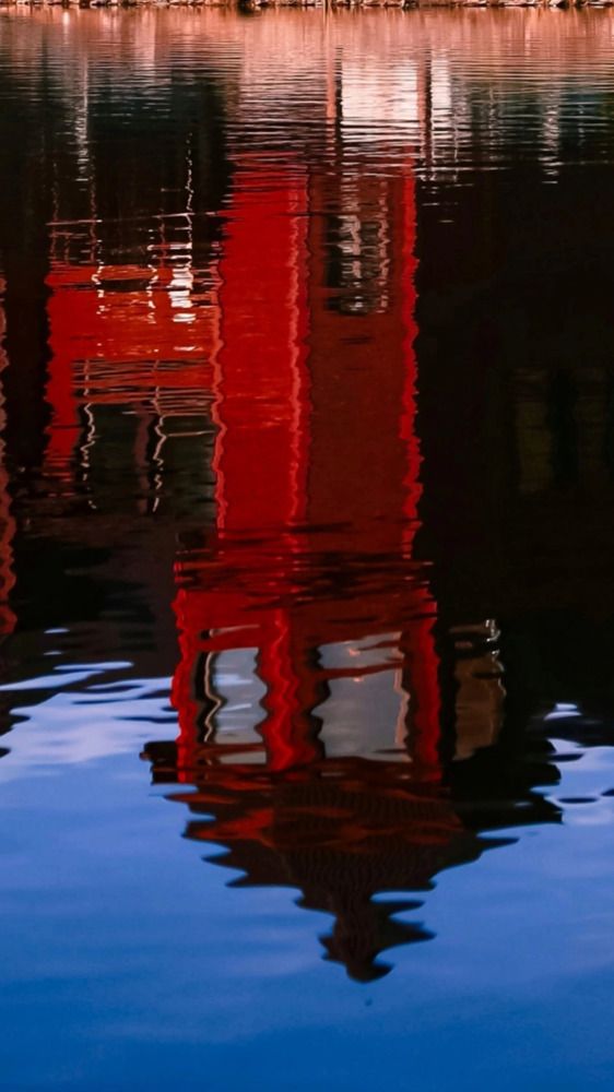 Photograph by Дарья