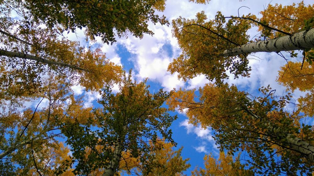 Photograph by Юлия Гринвальд