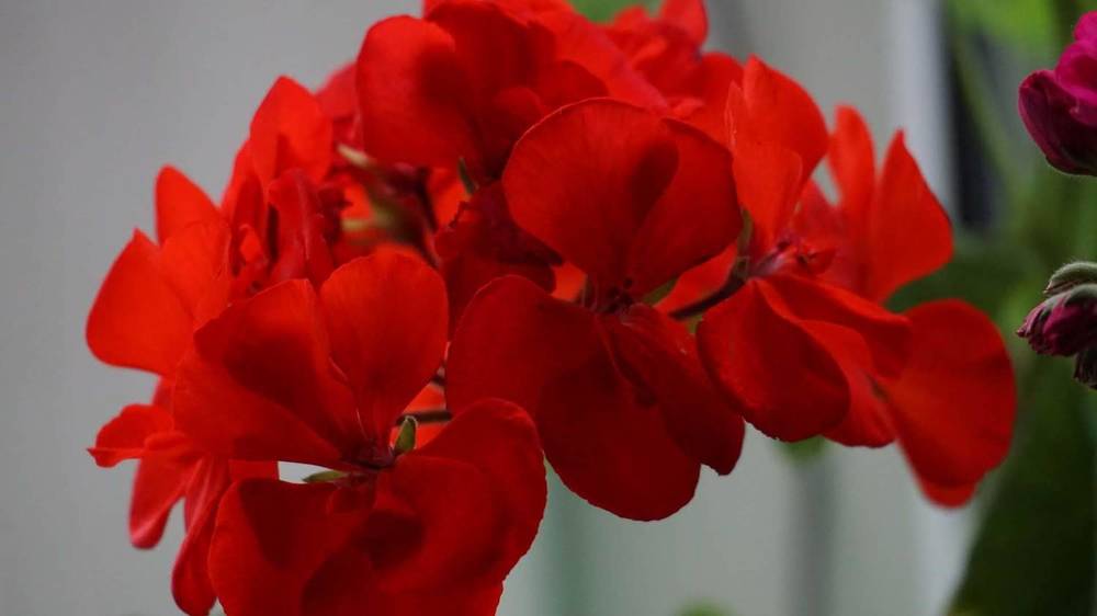 Photograph by Михаил Трусов