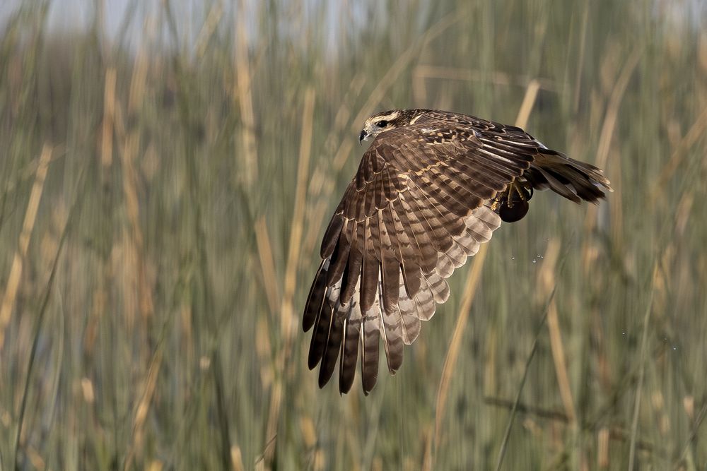 Photograph by Esteban Argerich