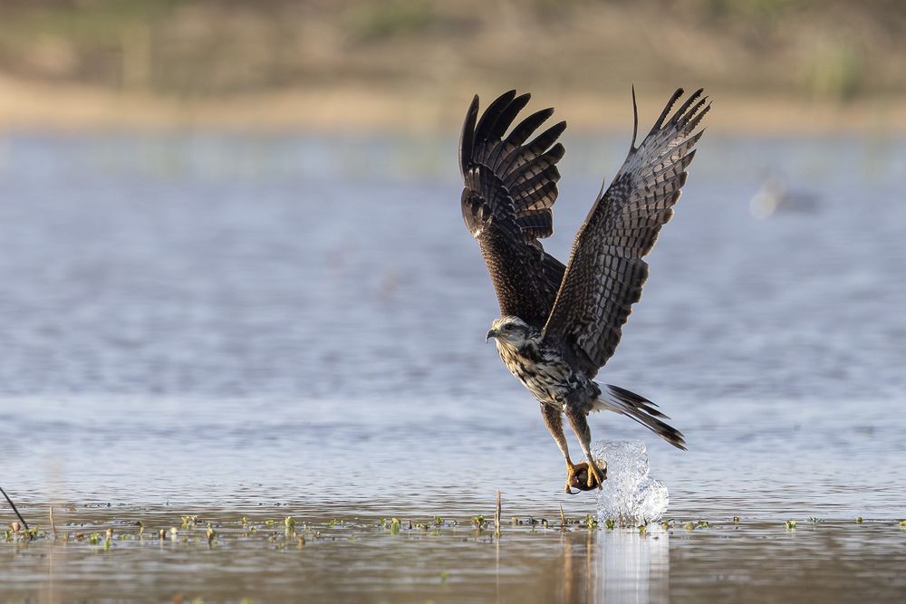 Photograph by Esteban Argerich