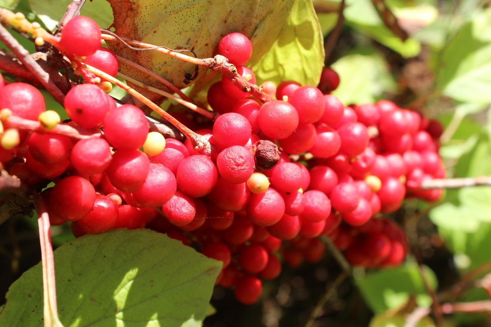 Photograph by Sergey Tsubanov