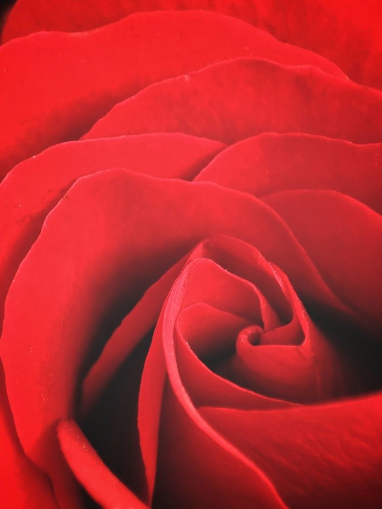 Photograph by Meilany Wijaya