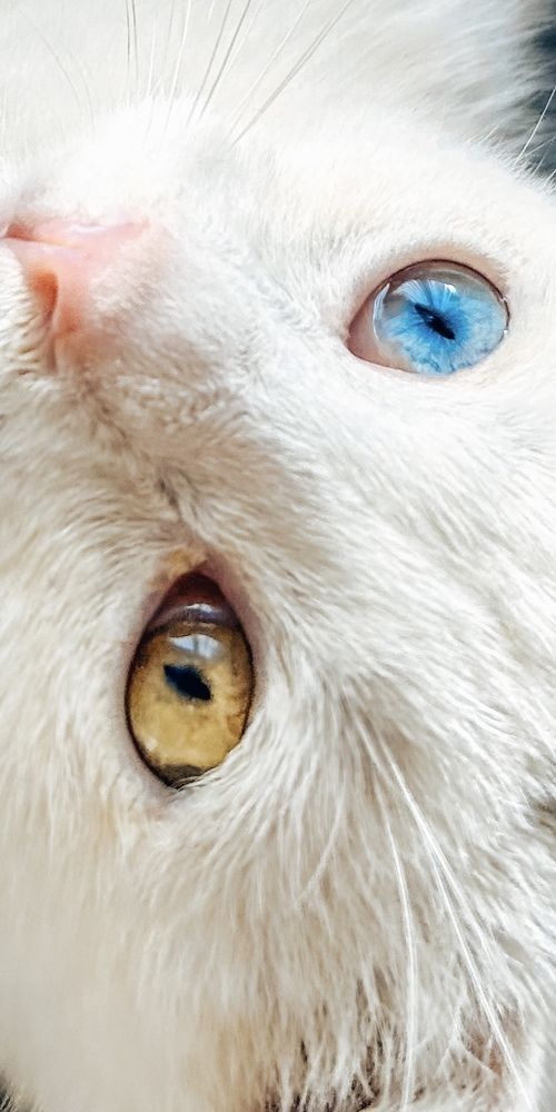 Photograph by Анна Виноградская