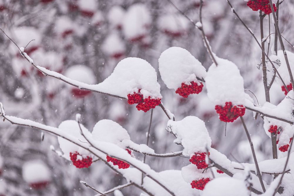 Photograph by ИРЕНА Цурпал