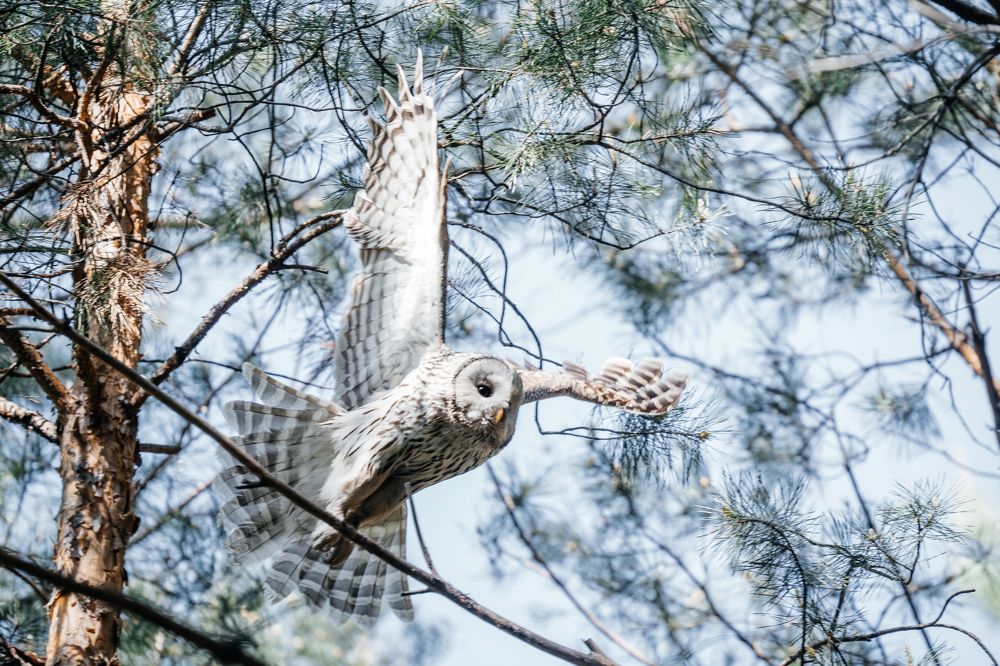 Photograph by Руслан Нигматуллин