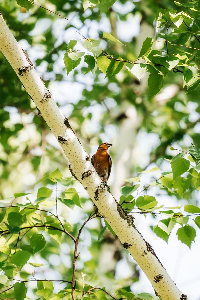 Photograph by Руслан Нигматуллин