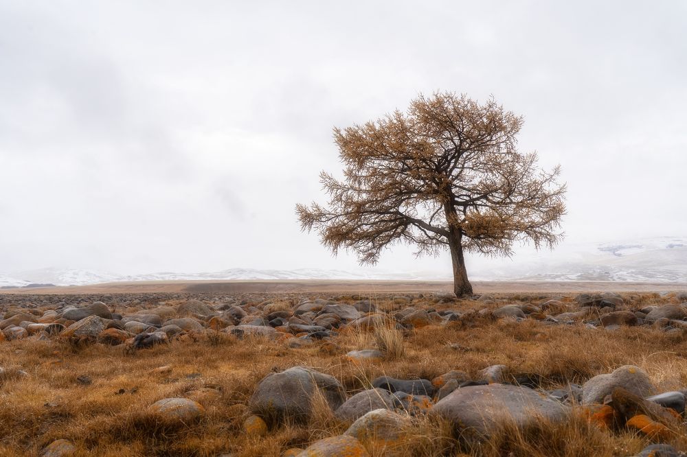 Photograph by Руслан Нигматуллин