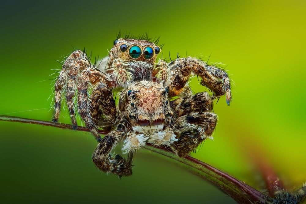 Photograph by Tran The Ngoc