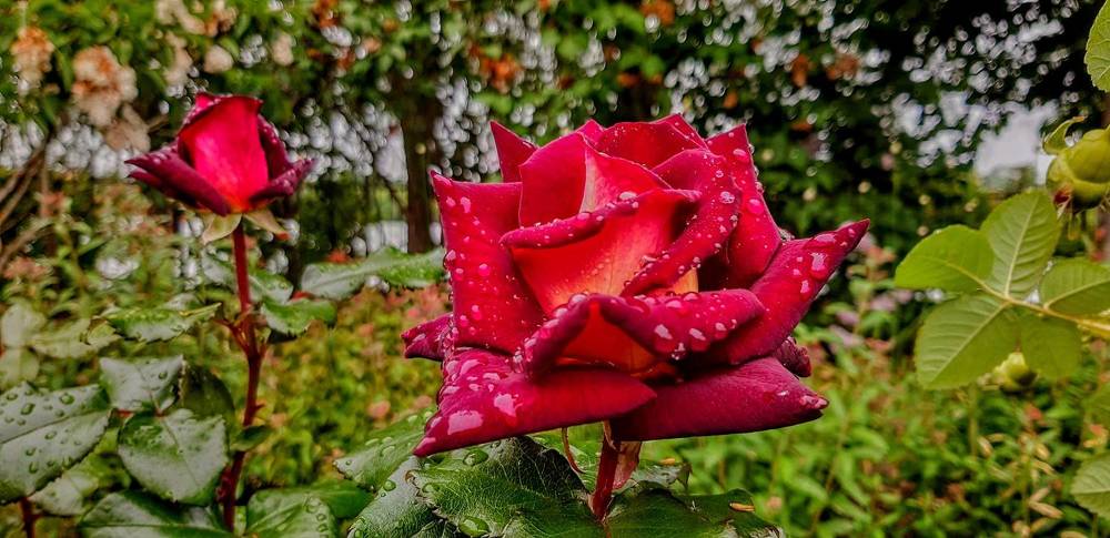 Photograph by Александр