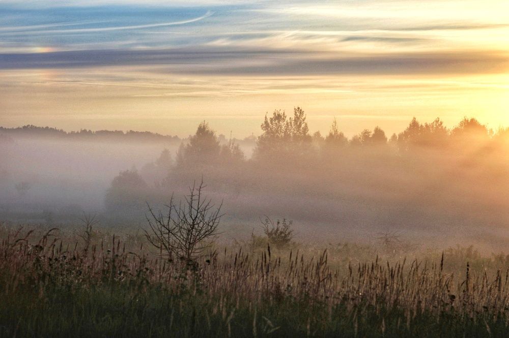 Photograph by Инна Карасева