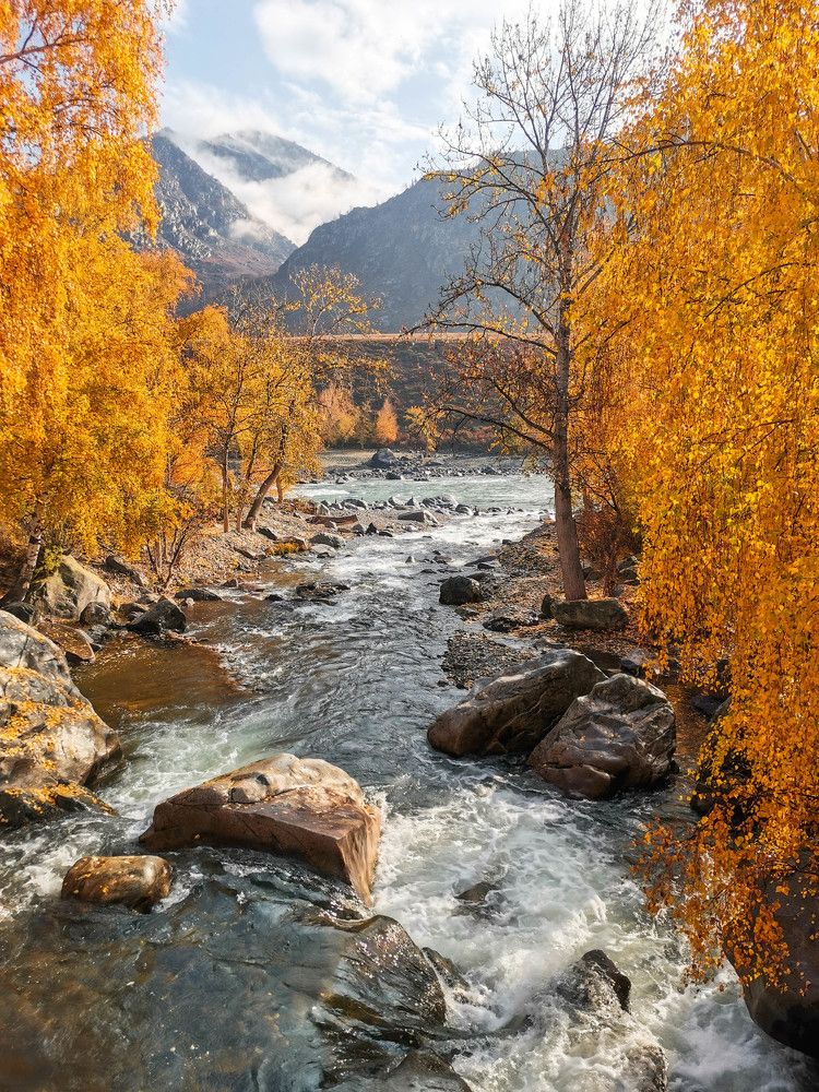 Photograph by Никита Караваев