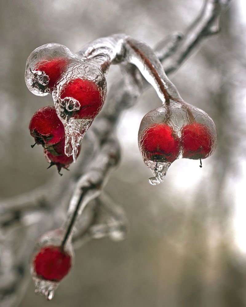 Photograph by Людмила Железнова