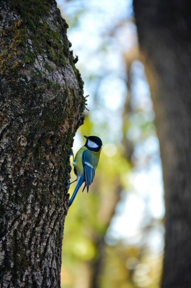 Photograph by Александр Лопатин