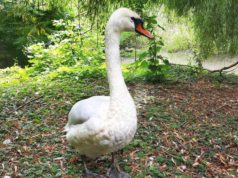 Photograph by Александр Лопатин