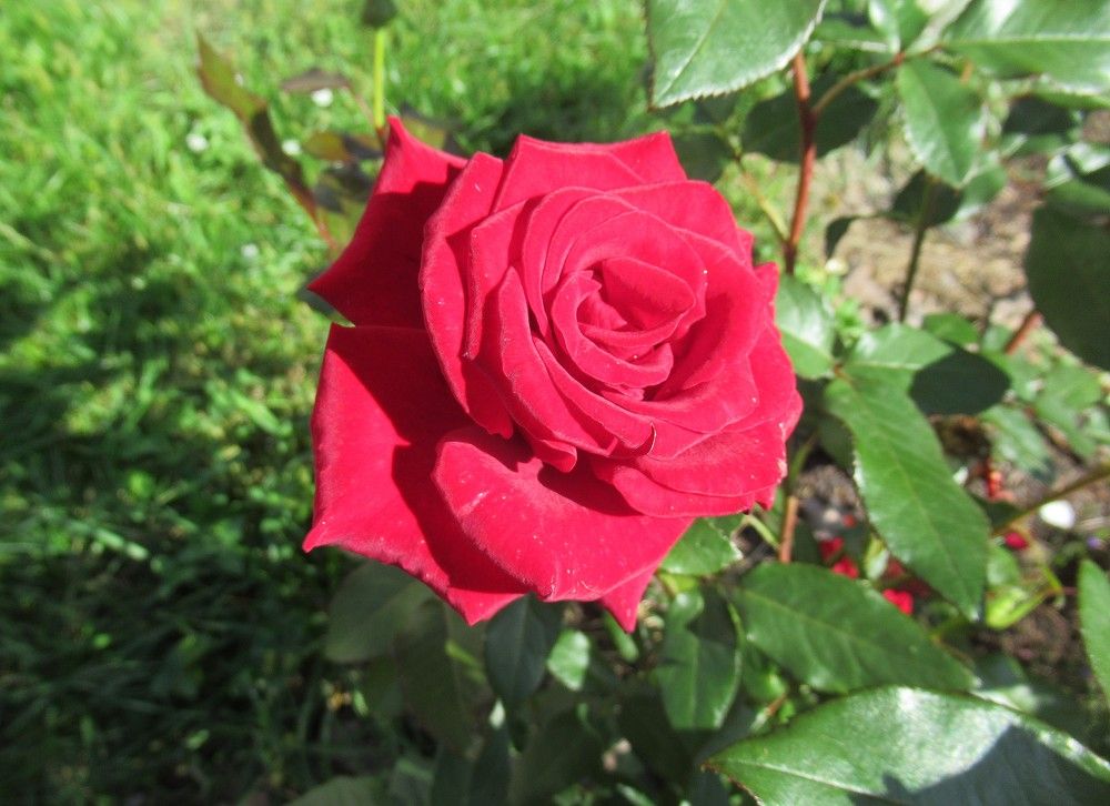 Photograph by Владимир