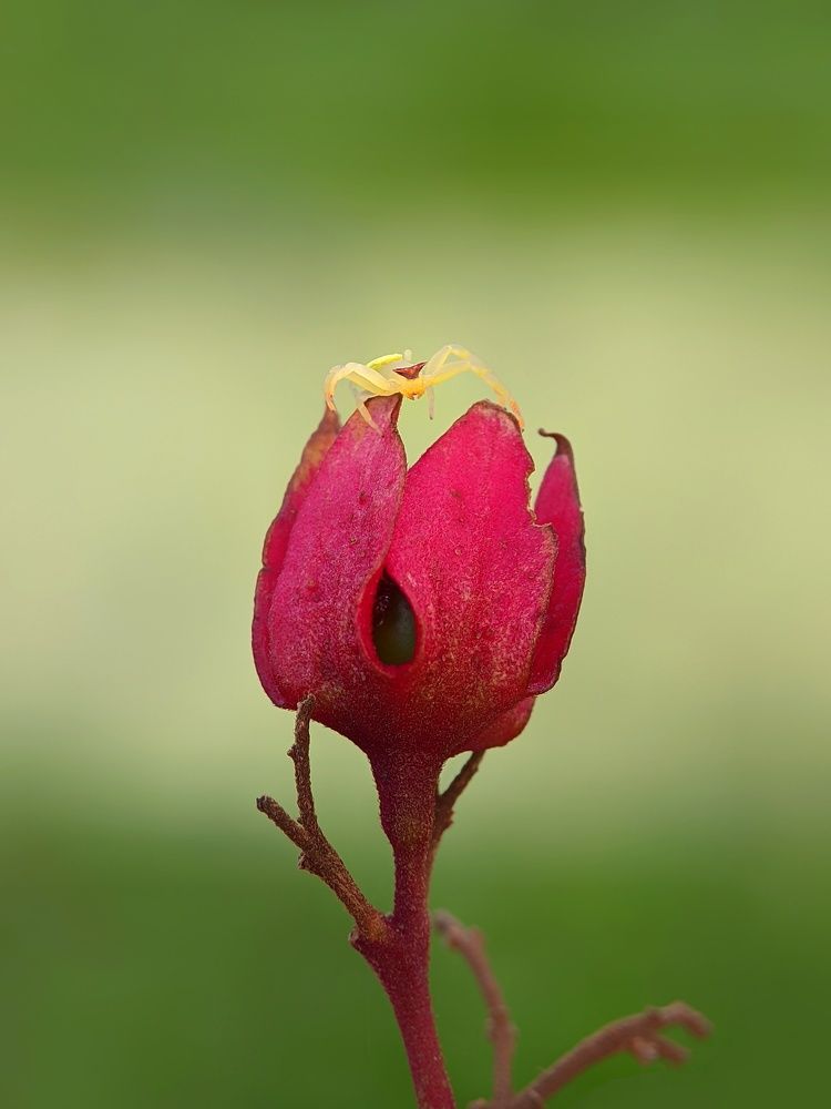 Фотография автора Ramprasad Das