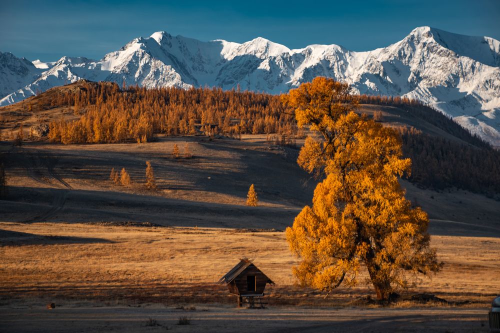 Photograph by Эльвира Чернова