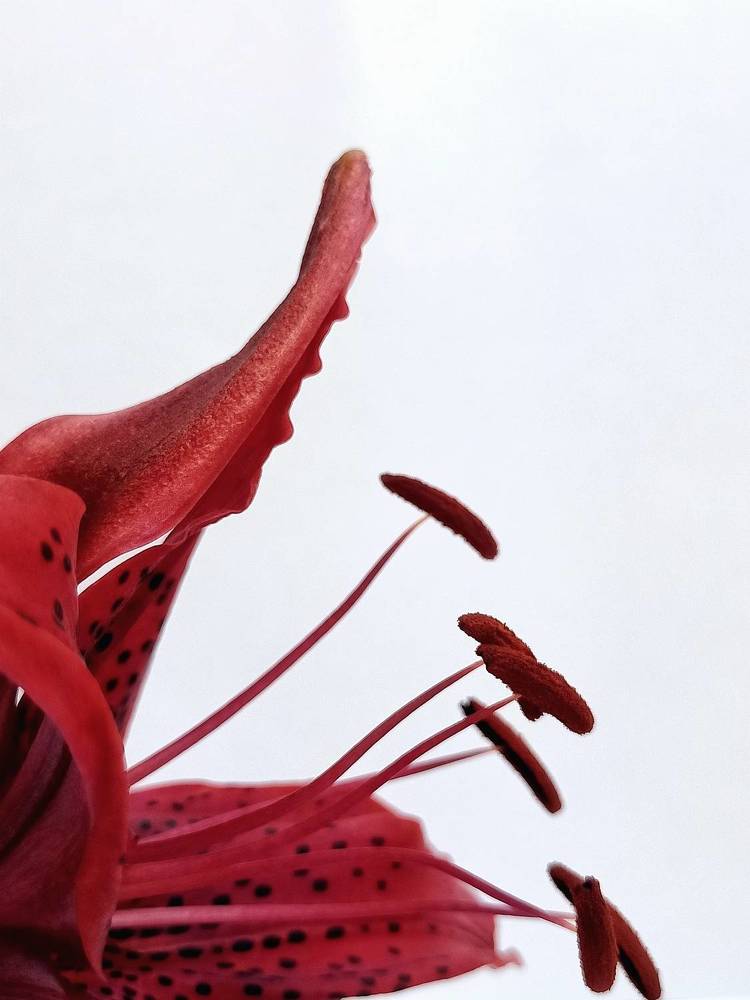 Фотография автора Татьяна Шахова