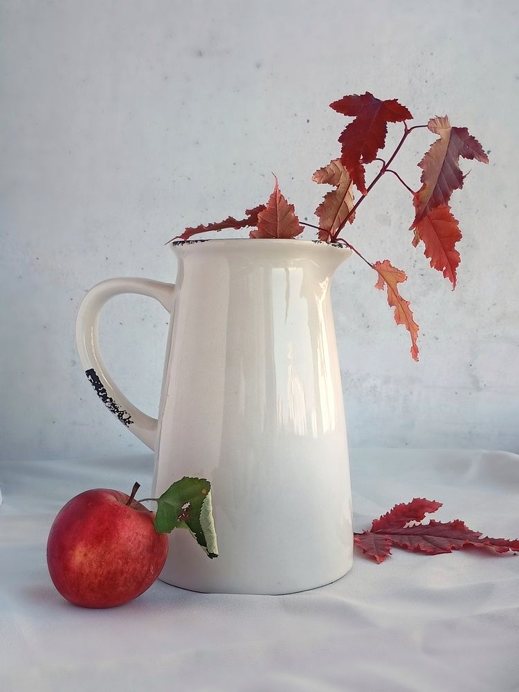 Фотография автора Татьяна Шахова