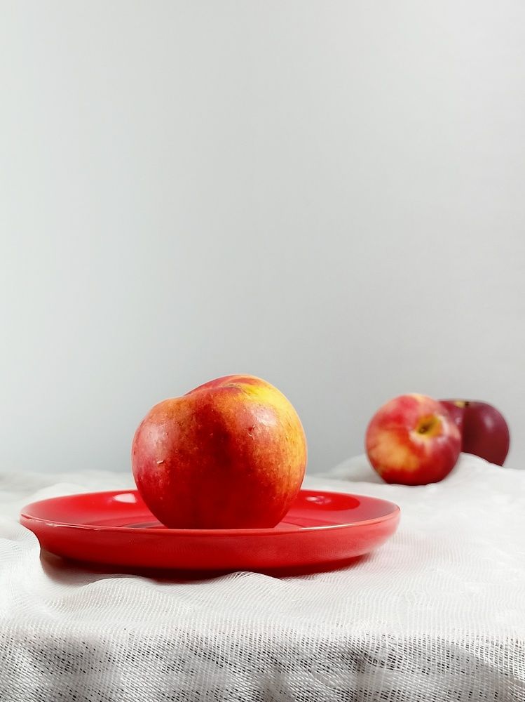 Фотография автора Татьяна Шахова