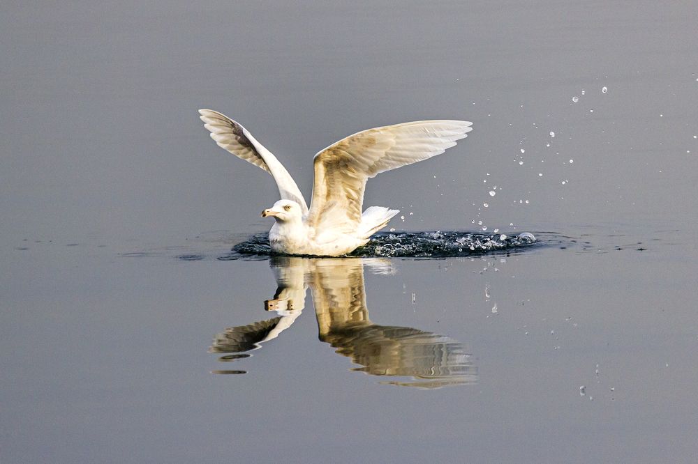 Photograph by Sergey Tsubanov