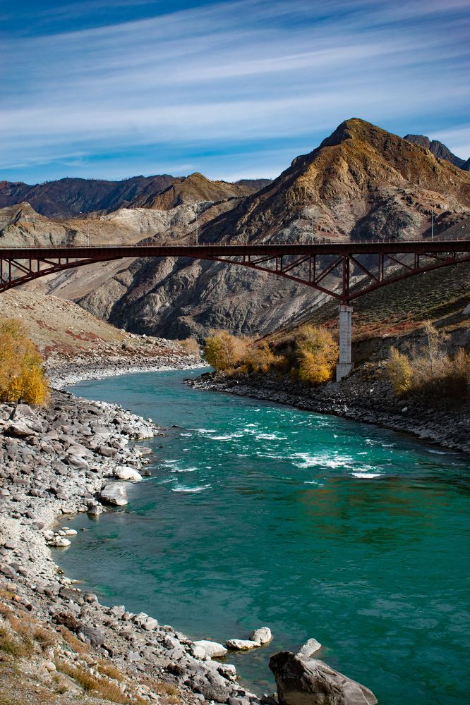 Фотография автора Эльвира Чернова