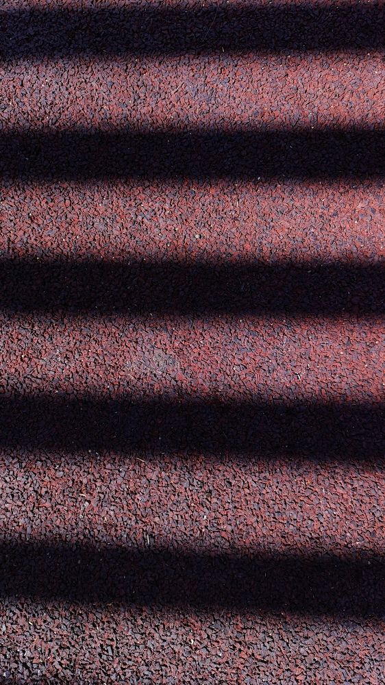 Фотография автора Оксана Антощук