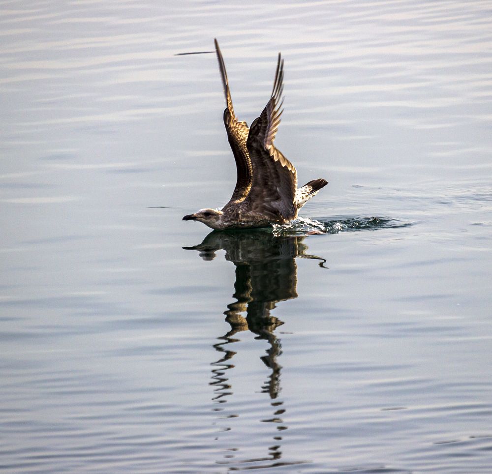 Photograph by Sergey Tsubanov