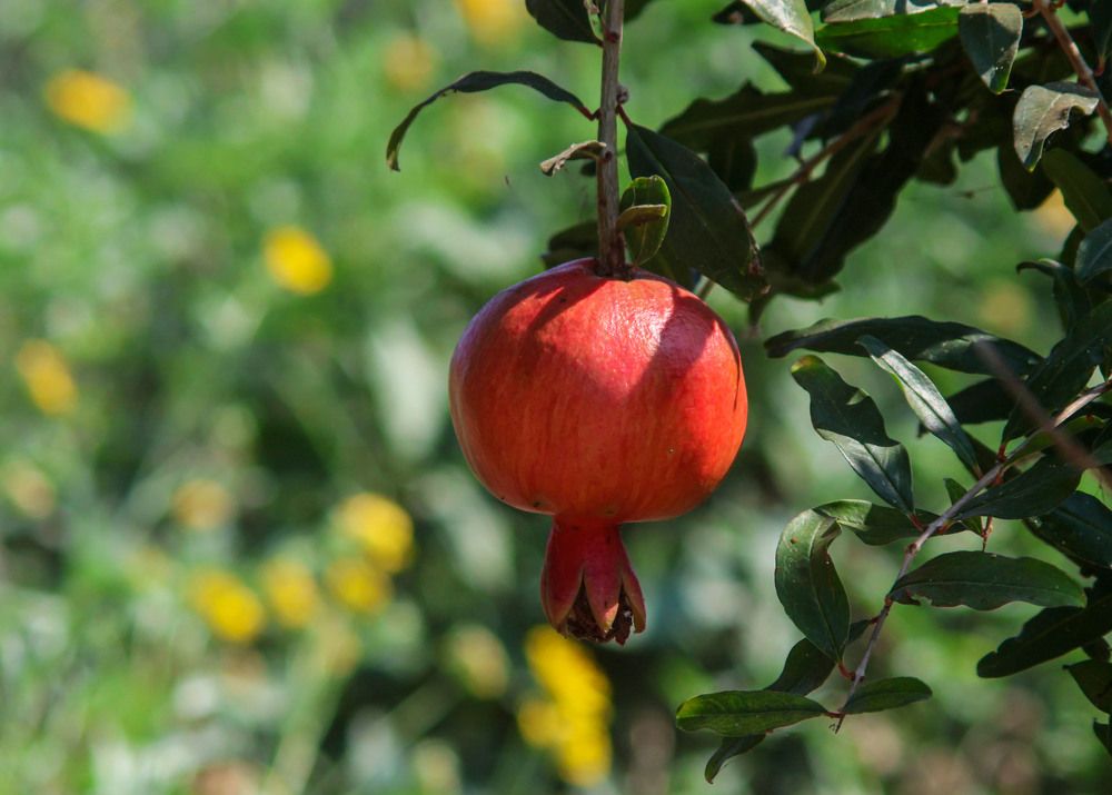 Photograph by Валентина Лопаткина