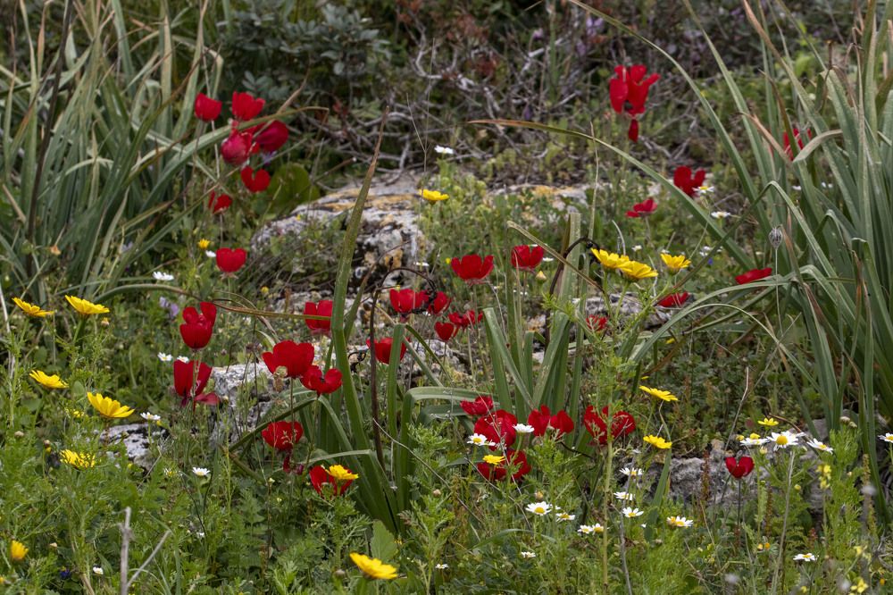 Photograph by Валентина Лопаткина