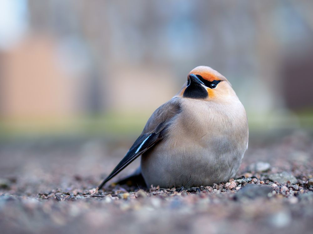 Photograph by Шейко Анна
